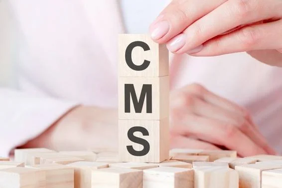 ¿Qué es un CMS? Necotec que es un cms